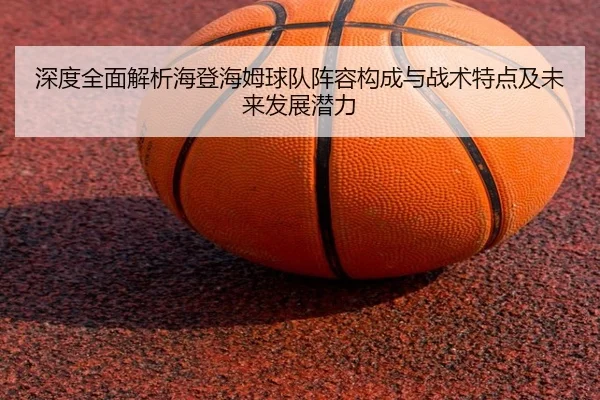 深度全面解析海登海姆球队阵容构成与战术特点及未来发展潜力